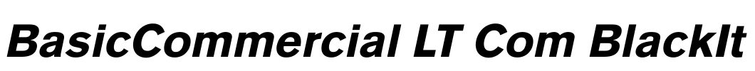 BasicCommercial LT Com BlackIt Font Image