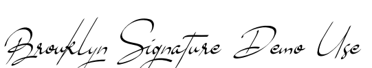 Brouklyn Signature Demo Use Font Image