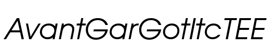 AvantGarGotItcTEE