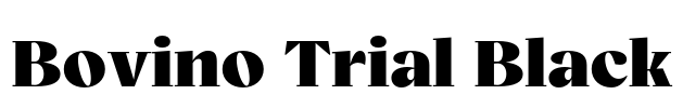 Bovino Trial Black Font Image