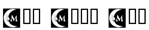 Mr. Moon Man