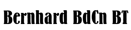 Bernhard BdCn BT