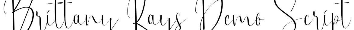 Brittany Rays Demo Script Font Image