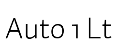 Auto 1 Lt