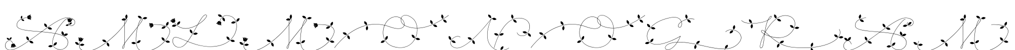 AMLMonogram Font Image