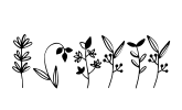 Botana Font Image
