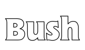 Bush