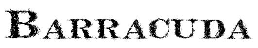 Barracuda Font Image