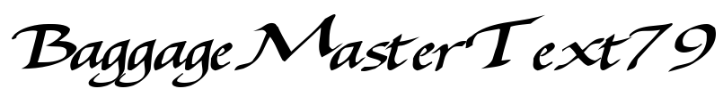 BaggageMasterText79 Font Image
