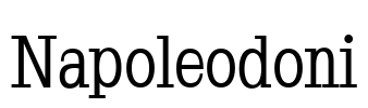 Napoleodoni Font Image