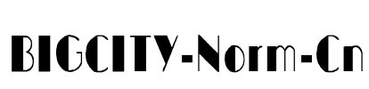 BIGCITY-Norm-Cn Font Image