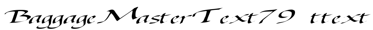 BaggageMasterText79 ttext Font Image