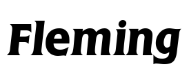 Fleming Font Image
