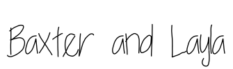 Baxter and Layla Font Image