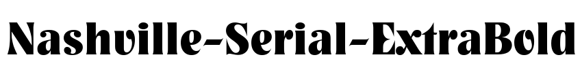 Nashville-Serial-ExtraBold Font Image