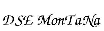 DSE MonTaNa Font Image
