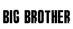 Big Brother