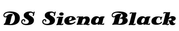 DS Siena Black Font Image