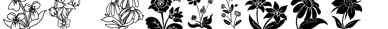 DT Flowers 2 Font Image