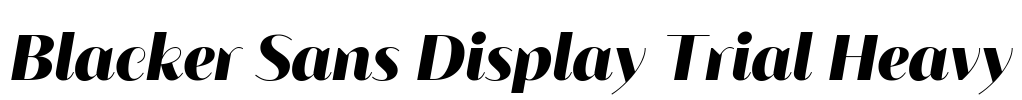Blacker Sans Display Trial Heavy Font Image