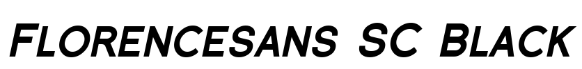 Florencesans SC Black