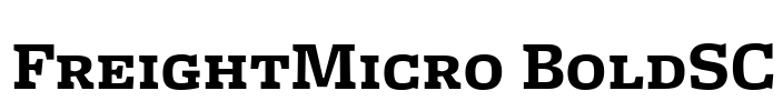 FreightMicro BoldSC