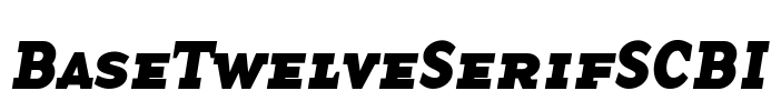 BaseTwelveSerifSCBI Font Image