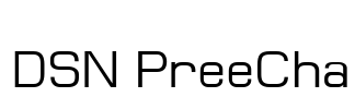DSN PreeCha Font Image