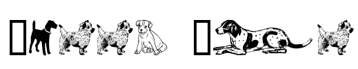 Doggy Bag