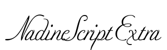 NadineScriptExtra