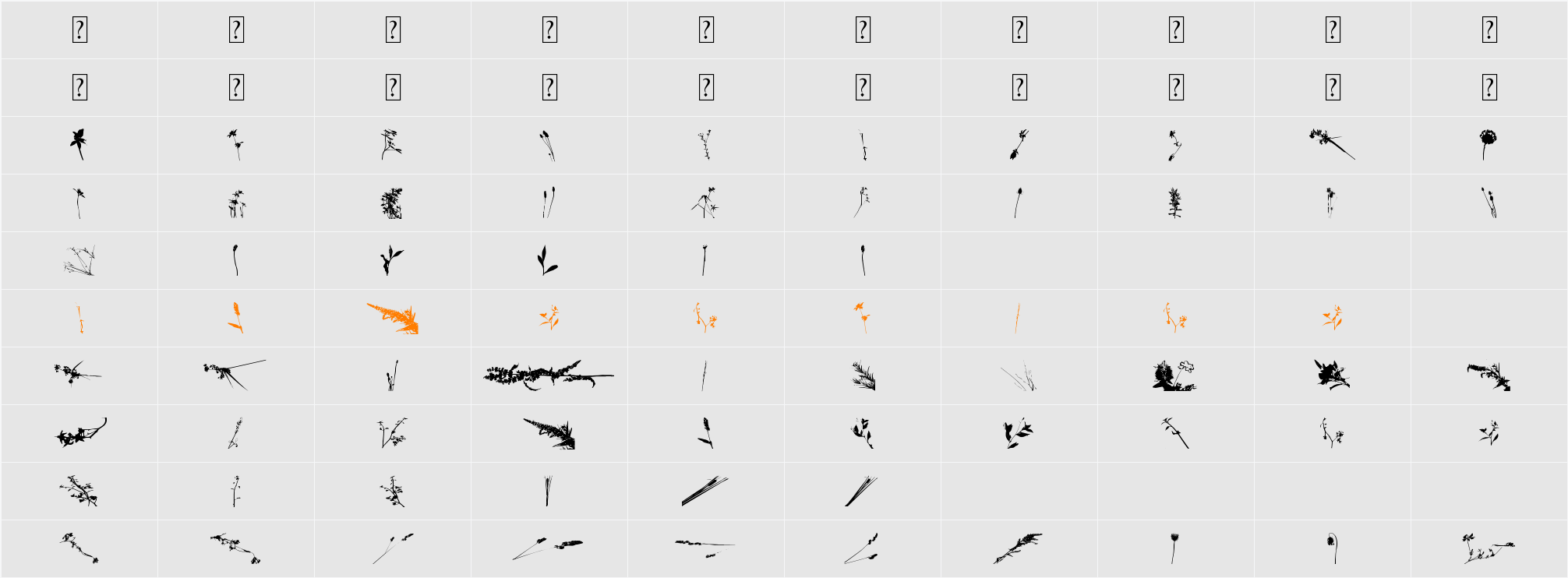Floral Flush Character Map