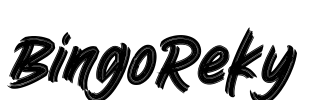 BingoReky