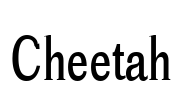 Cheetah Font Image