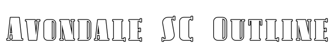 Avondale SC Outline