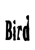 Bird Font Image