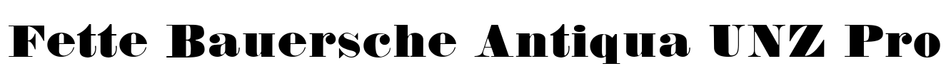 Fette Bauersche Antiqua UNZ Pro Font Image