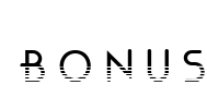 Bonus