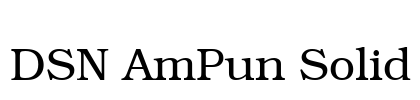 DSN AmPun Solid Font Image
