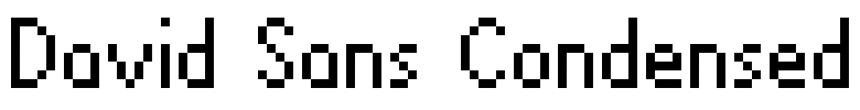 David Sans Condensed Font Image