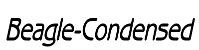 Beagle-Condensed