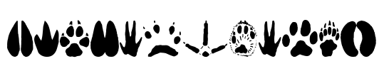 AnimalTracks