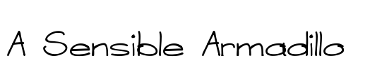 A Sensible Armadillo