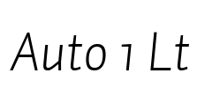 Auto 1 Lt