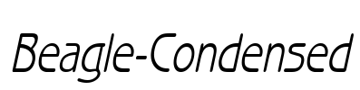 Beagle-Condensed
