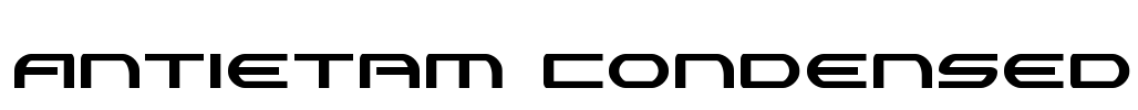 Antietam Condensed Font Image