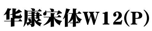 华康宋体W12(P)