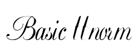 Basic ttnorm Font Image