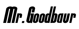 Mr.Goodbaur