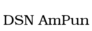DSN AmPun Font Image