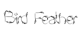 Bird Feather Font Image